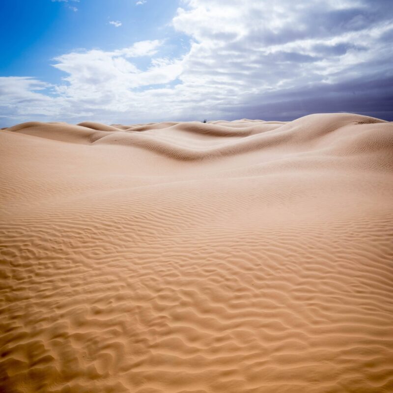 Tunisia: cross deserts, Berber villages and movie sets