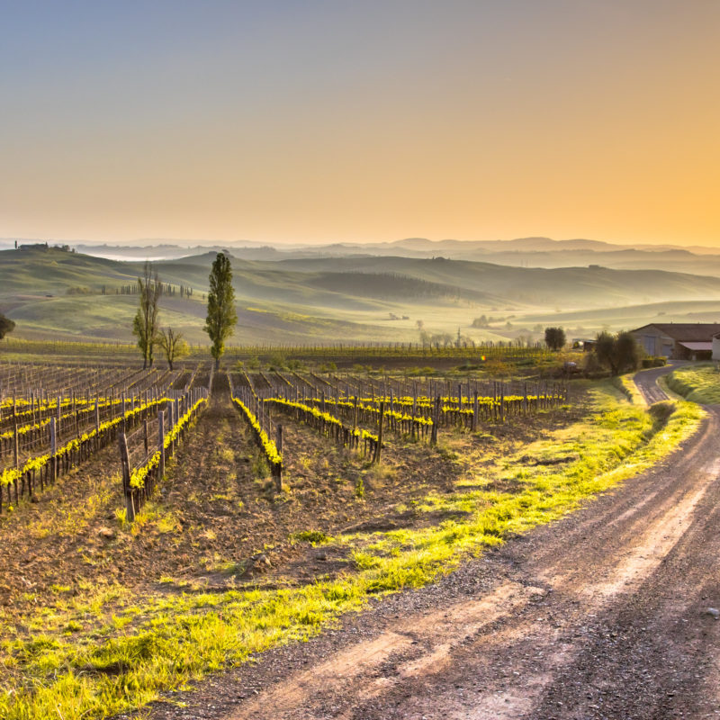 L’Eroica:la Toscana
